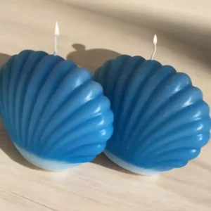 Ocean Shell shaped Set